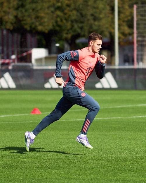 拜仁官方:斯坦尼西奇恢复球队合练,格纳布里进行个人有球训练